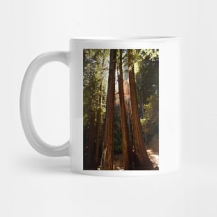 Muir Woods Mug